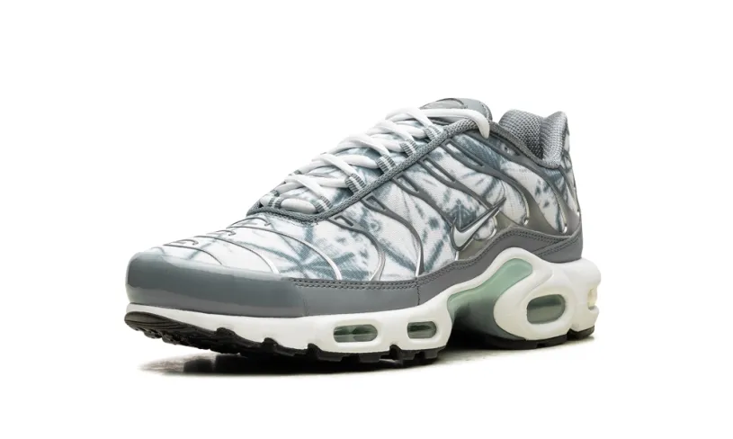 Nike Air Max Air Max Plus 'Waterway'